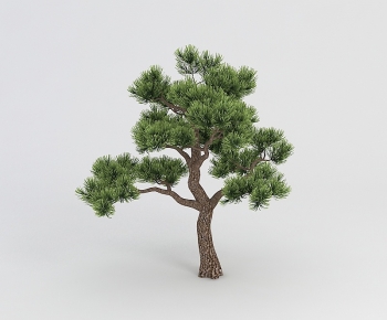 Modern Tree-ID:662754063