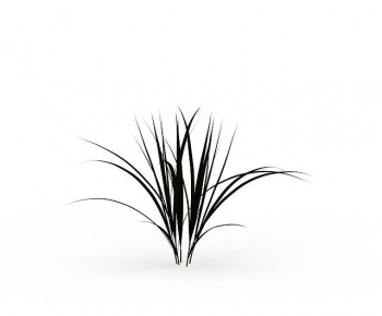 Modern The Grass-ID:536237965
