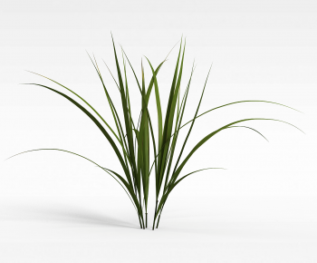 Modern The Grass-ID:466932065