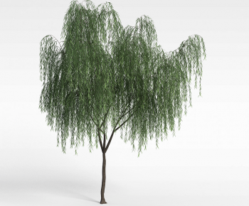 Modern Tree-ID:899189008