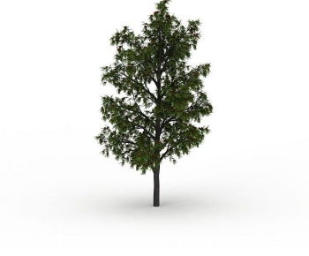 Modern Tree-ID:162377124