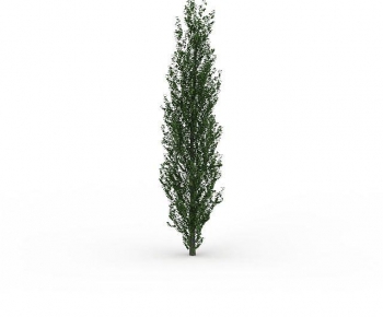 Modern Tree-ID:212322951