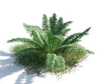 Modern Shrubbery-ID:675822022