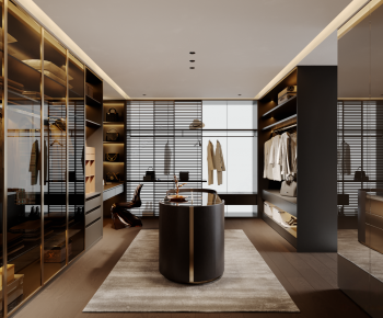 Modern Clothes Storage Area-ID:539094928