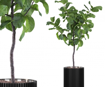 Modern Ground Green Plant Potted Plants-ID:363312011