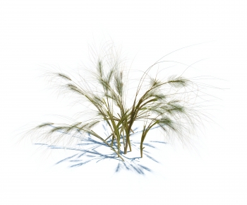 Modern The Grass-ID:115340954