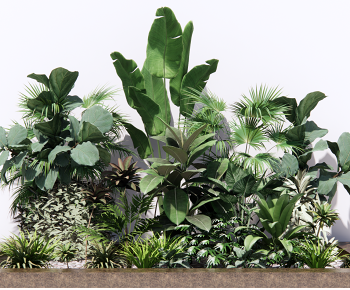 现代景观植物小品3D模型