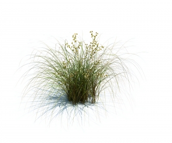 Modern The Grass-ID:430603034
