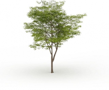 Modern Tree-ID:713041074
