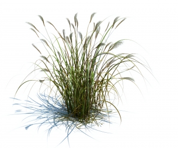 Modern The Grass-ID:870898965