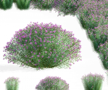 Modern Shrubbery-ID:539263961