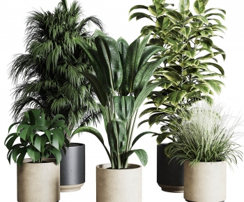 Modern Ground Green Plant Potted Plants-ID:973851929
