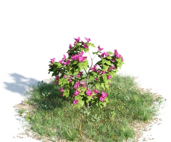 Modern Flowers And Grass-ID:248945007