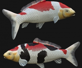 Modern Aquatic Animals-ID:138267993