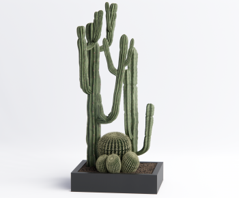 Modern Ground Green Plant Potted Plants-ID:550229574