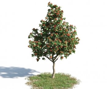 Modern Tree-ID:695991992