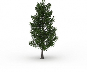 Modern Tree-ID:177540063