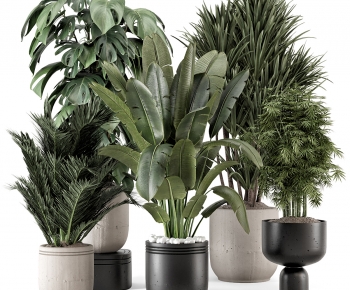 Modern Ground Green Plant Potted Plants-ID:400305992