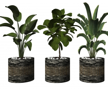Modern Ground Green Plant Potted Plants-ID:879956962