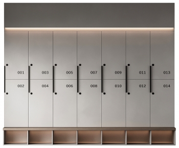 Modern Public Cabinet/lock Cabinet-ID:410938982