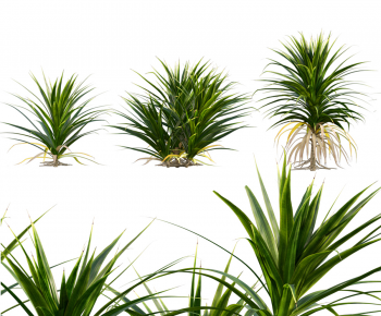 Modern The Grass-ID:813133008