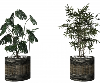 Modern Ground Green Plant Potted Plants-ID:141334066