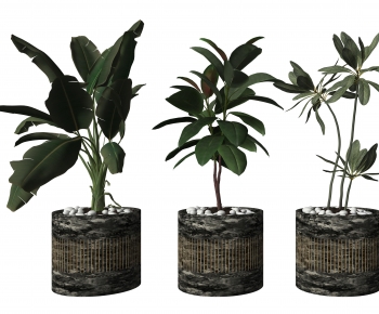 Modern Ground Green Plant Potted Plants-ID:624782099