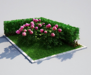 Modern Shrubbery-ID:496781114