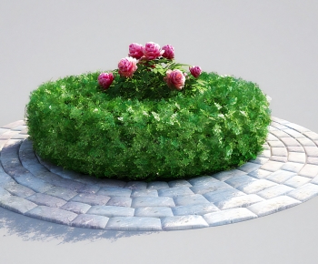 Modern Shrubbery-ID:569502124