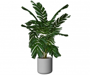 Modern Ground Green Plant Potted Plants-ID:594221127