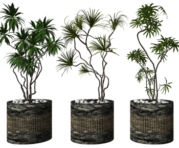 Modern Ground Green Plant Potted Plants-ID:270585065