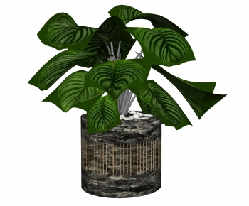 Modern Potted Green Plant-ID:661273009