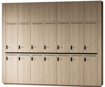 Modern Public Cabinet/lock Cabinet-ID:773521909