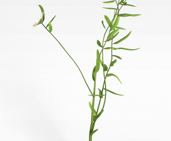 Modern Flowers And Grass-ID:117516997