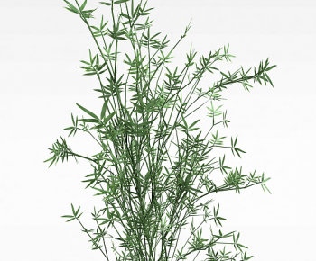 Modern The Grass-ID:555294045