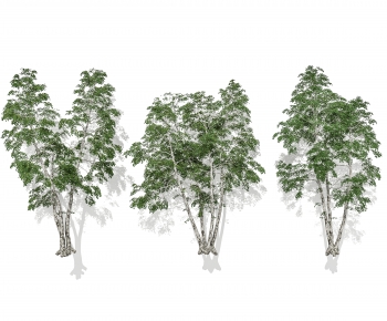 Modern Tree-ID:300635105