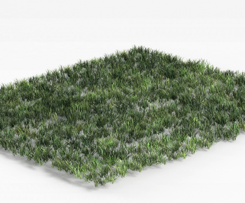 Modern The Grass-ID:210351942
