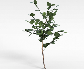 Modern Tree-ID:713316922