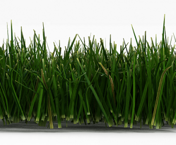 Modern The Grass-ID:342331895