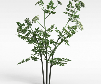 Modern The Grass-ID:293459949