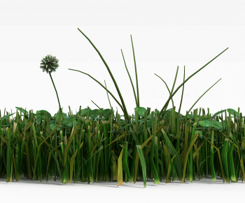 Modern The Grass-ID:663701069