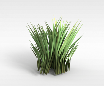 Modern The Grass-ID:455507997
