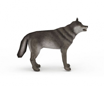 Modern Mammal-ID:119621047
