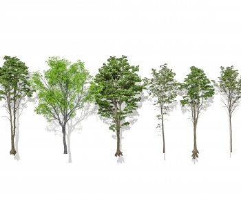 Modern Tree-ID:778472902