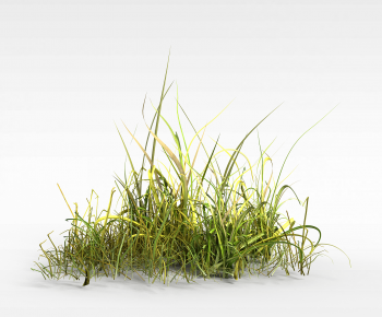 Modern The Grass-ID:703917985