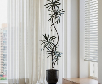 Modern Ground Green Plant Potted Plants-ID:755697978