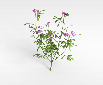 Modern Flowers And Grass-ID:527100624