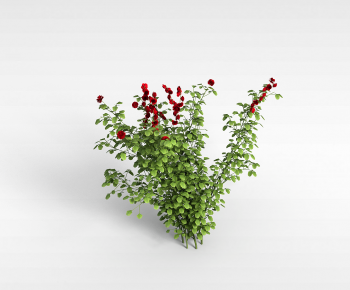 Modern Flowers And Grass-ID:423715119