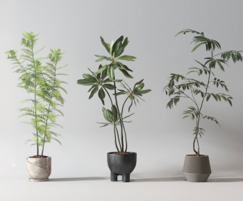 Modern Ground Green Plant Potted Plants-ID:819899089