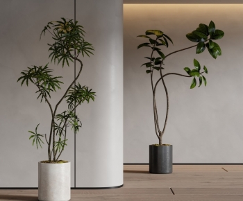 Modern Ground Green Plant Potted Plants-ID:767558108
